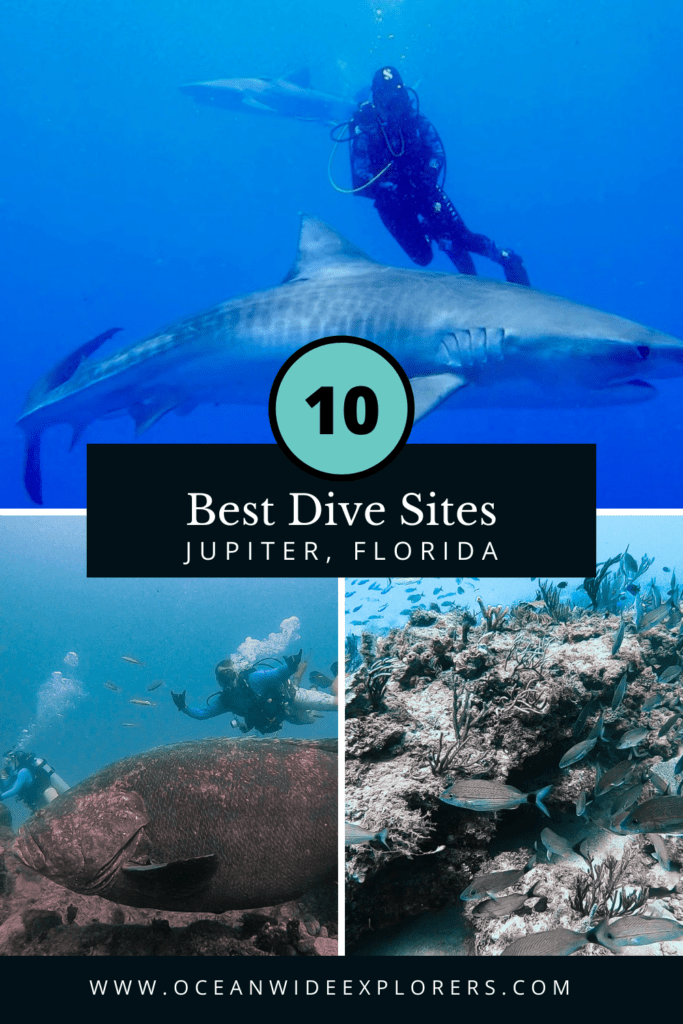 best scuba dive sites in jupiter