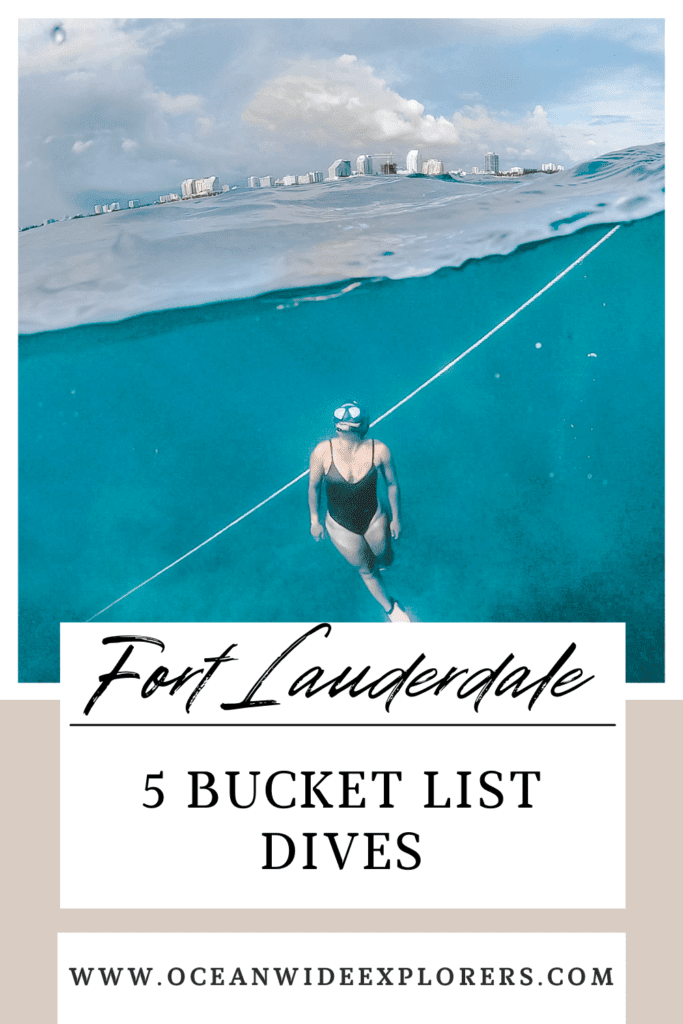 bucket list dives in fort lauderdale (1)