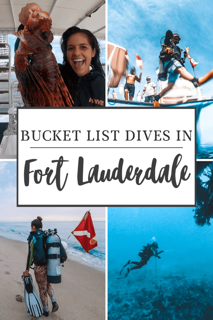 bucket list dives in fort lauderdale