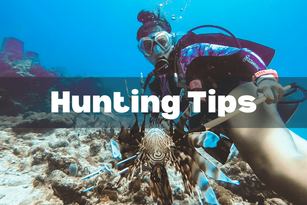 lionfish hunting tips resource page