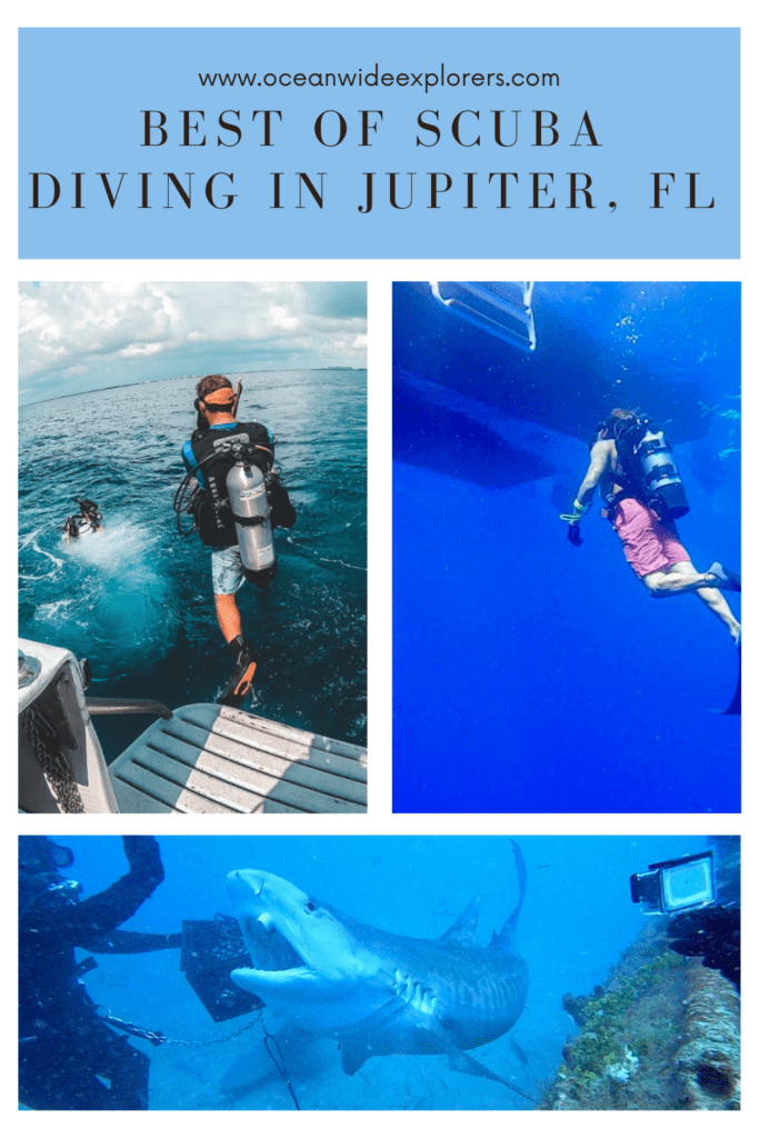 scuba diving in jupiter florida (2)