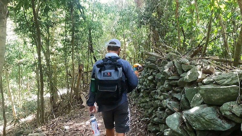 hiking along old fencing on reef bay trail in st john usvi