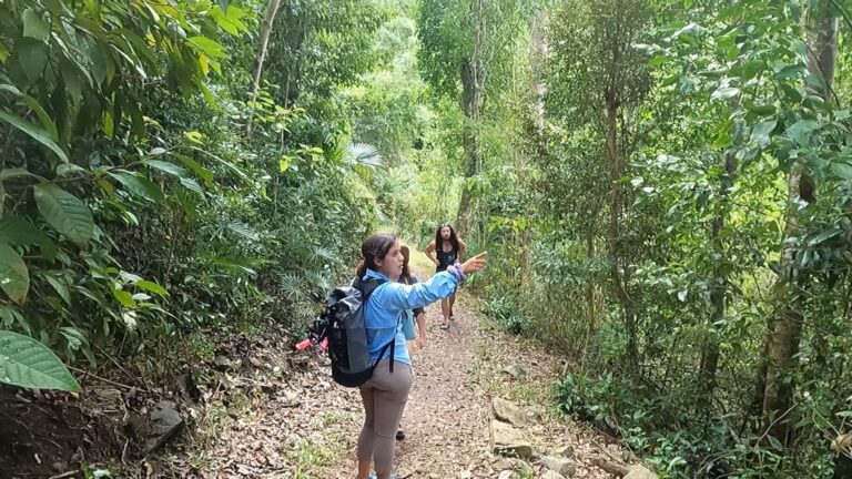 10 Useful Tips for Hiking Reef Bay Trail on St. John - OceanWide Explorers