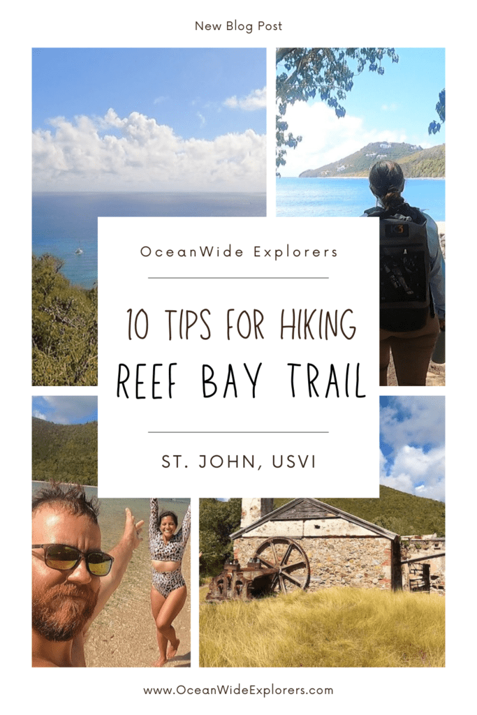 reef bay trail st john usvi hiking