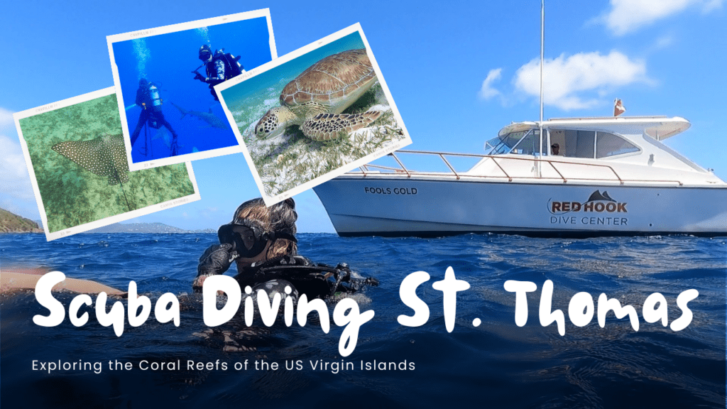 st thomas diving excursions
