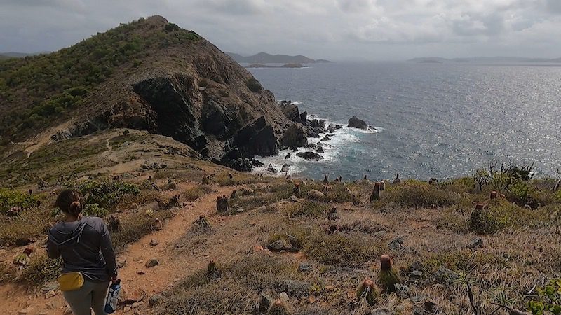 cliff overlooking the british virgin islands st john usvi ram head trail