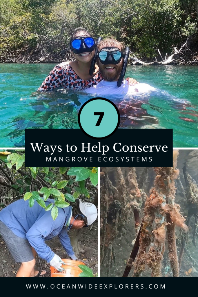 conserve mangrove ecosystems pins (1)