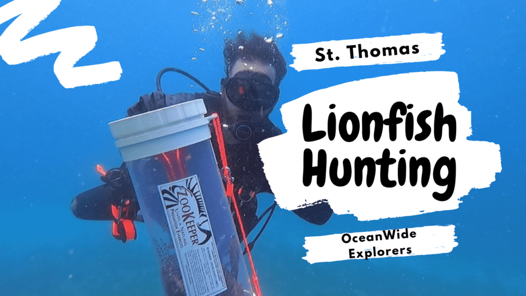 lionfish hunting st thomas usvi