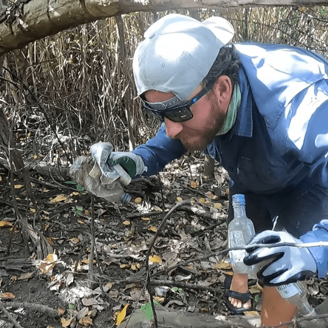 VIDEO: Cleaning the Mangroves of Coral Bay, St. John