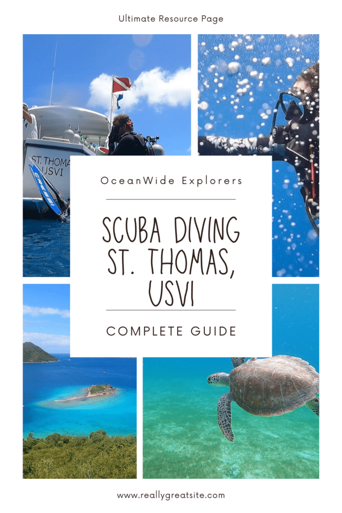 scuba diving st thomas usvi (1)