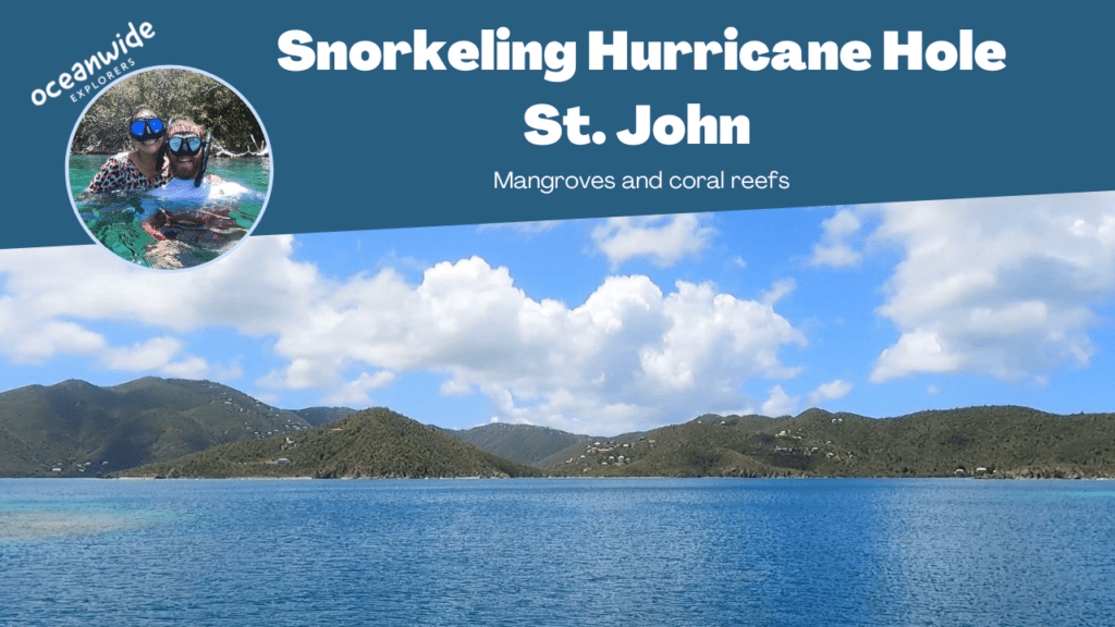 snorkeling hurricane hole st john youtube thumbnail