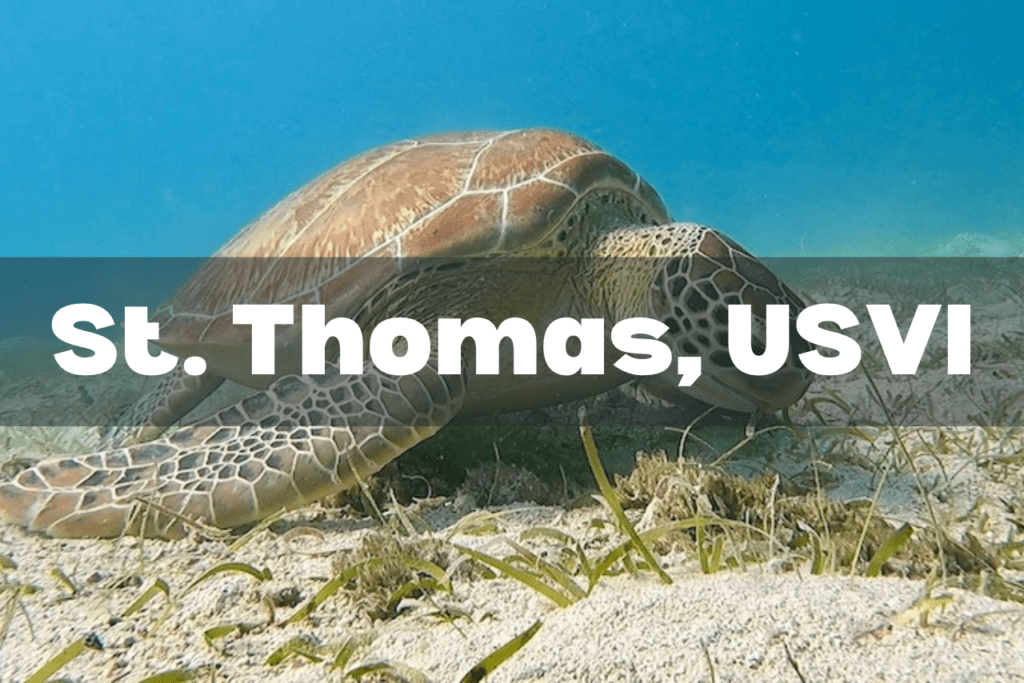 st thomas scuba diving resource page