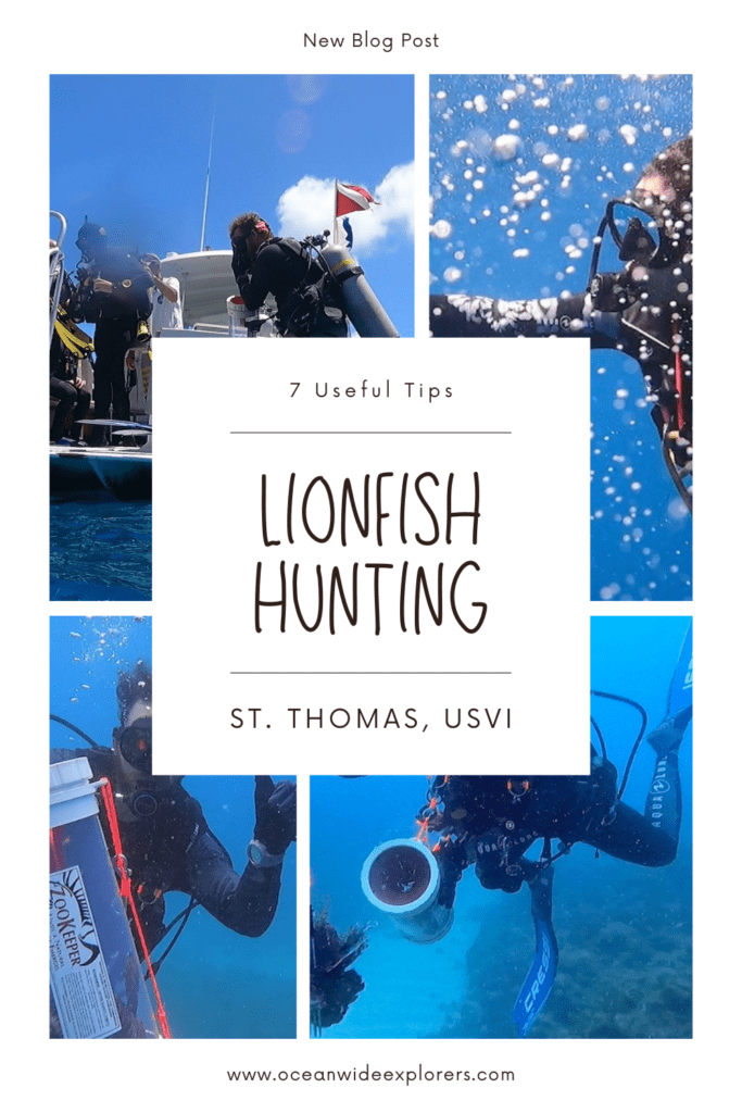 tips for hunting lionfish on st thomas pin 2