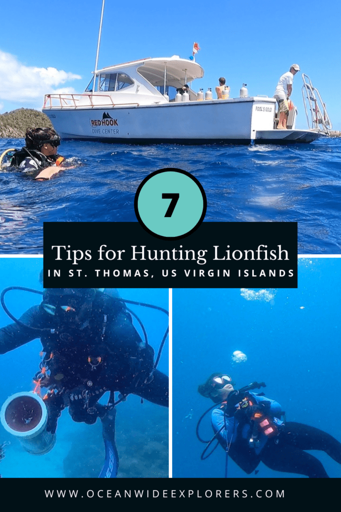 tips for hunting lionfish on st thomas pin