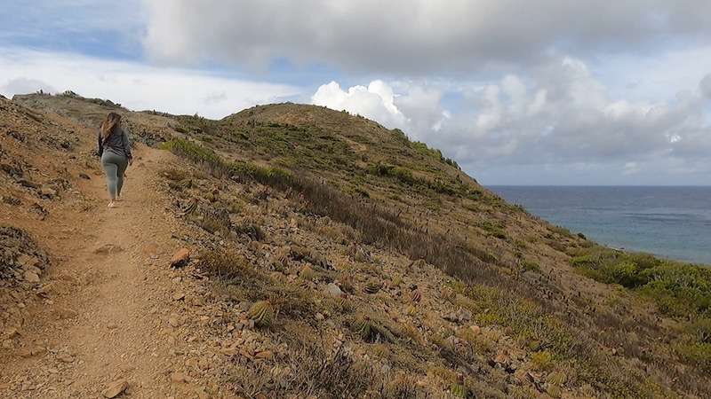 woman hiking ram head trail with view of ocean virgin islands national park