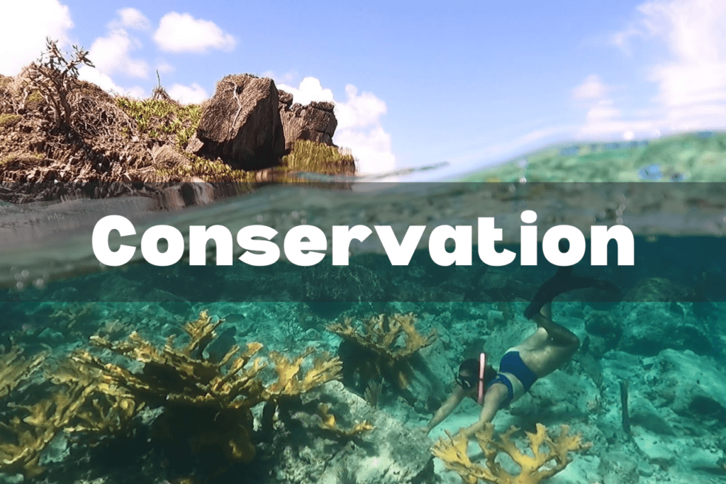 conservation resource page