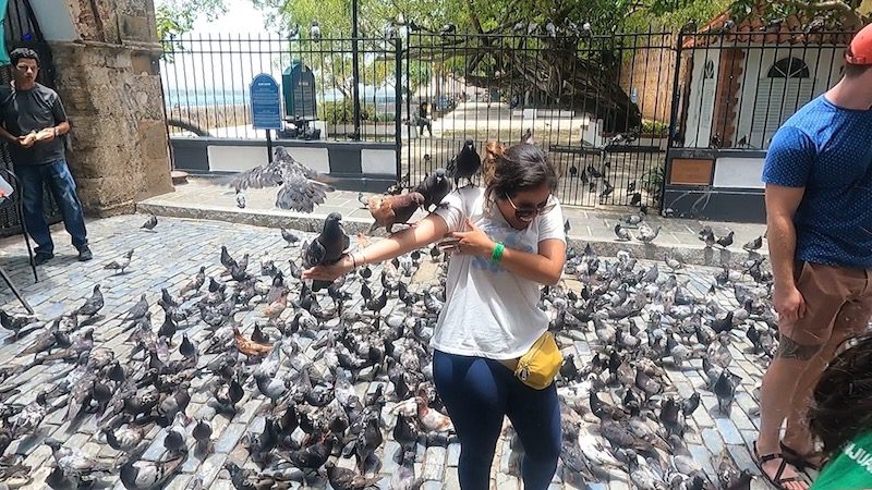pigeons landing on woman on streets of old san juan puerto rico