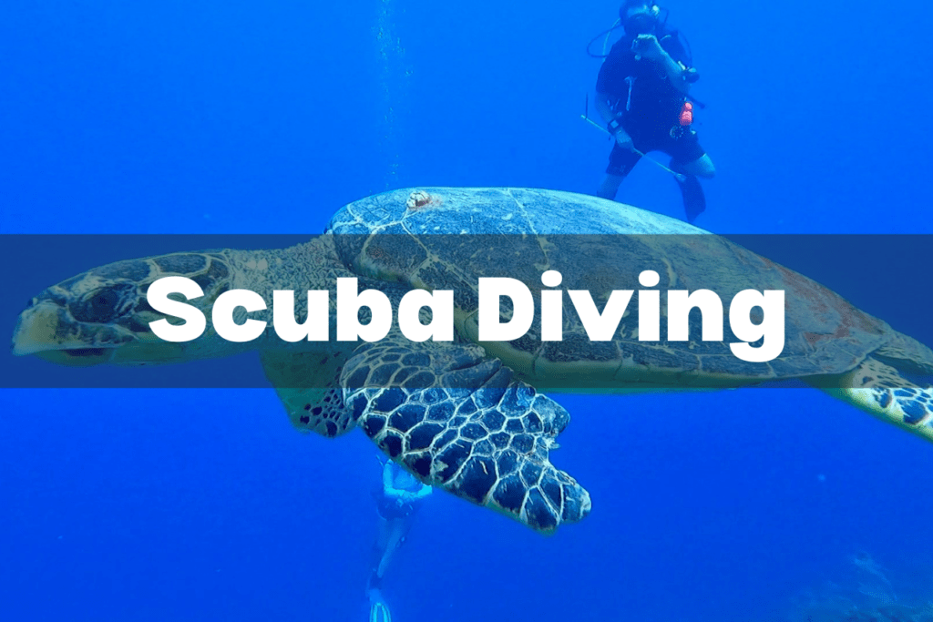 scuba diving resource page