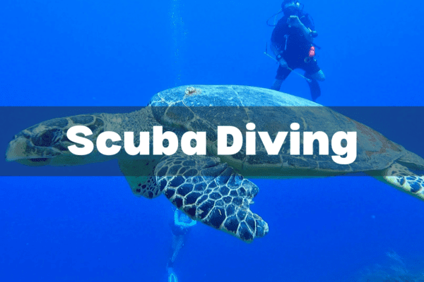 What's the Best GoPro Mount for Scuba Diving? - OceanWide Explorers