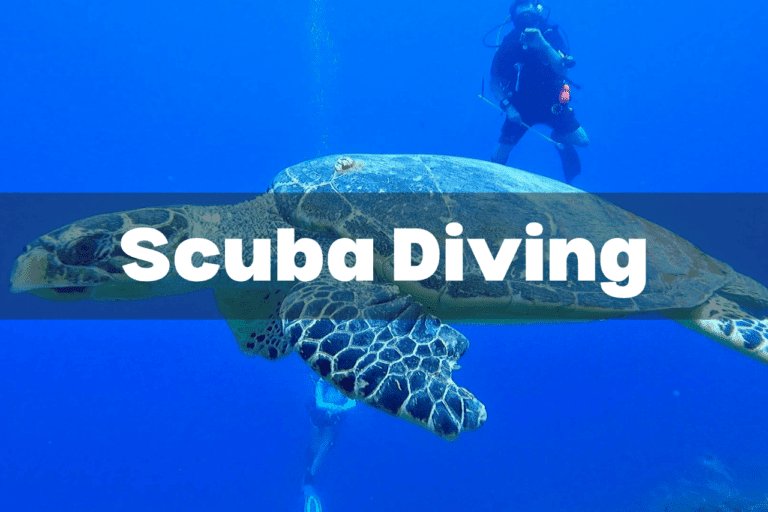 Scuba Diving