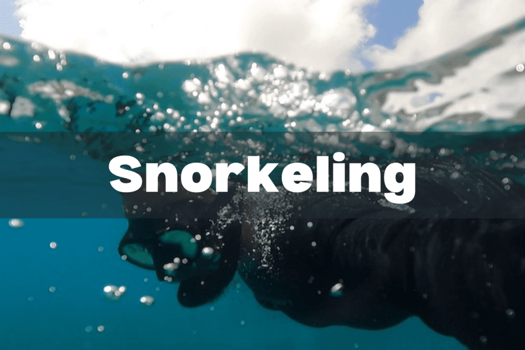 snorkeling resource page