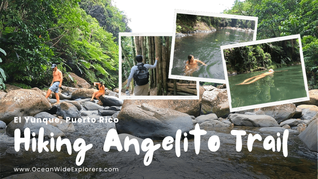 hiking-angelito-trail-el-yunque-youtube-thumbnail