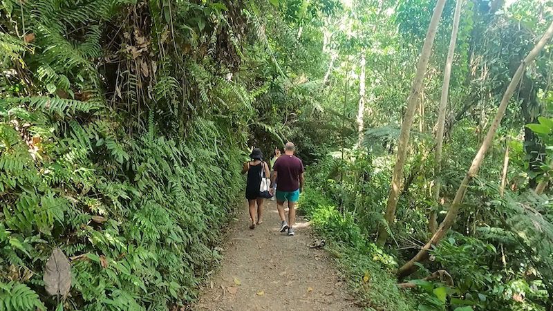 man and woman hiking angelito trail el yunque