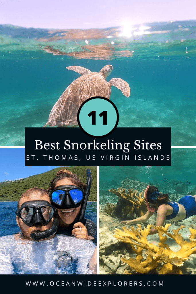 best snorkeling spots on st thomas usvi pin 1