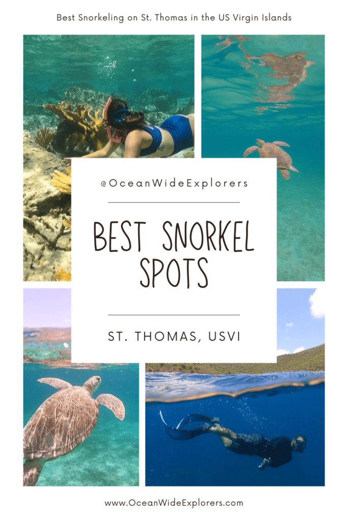 best snorkeling spots on st thomas usvi pin 2