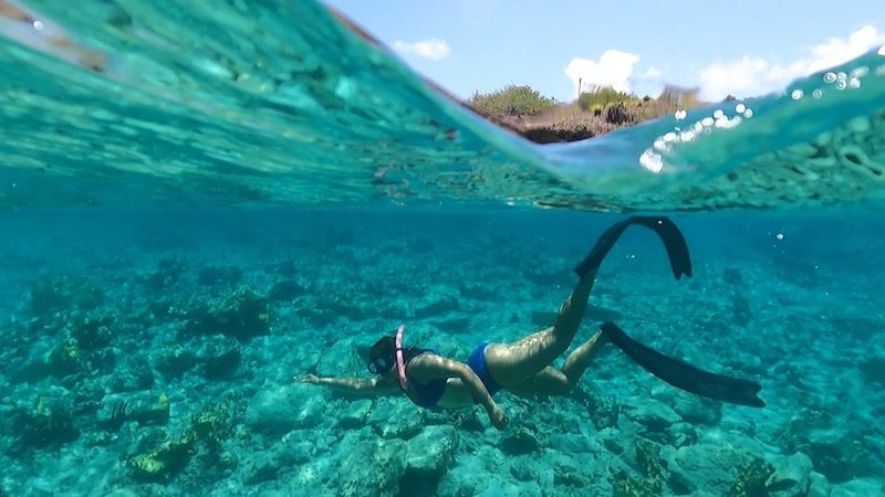 woman snorkeling around the us virgin islands best snorkeling sites