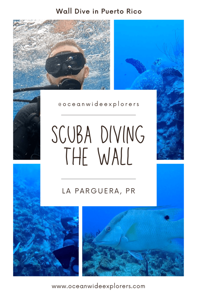 Scuba Diving La Parguera pinterest pin 1