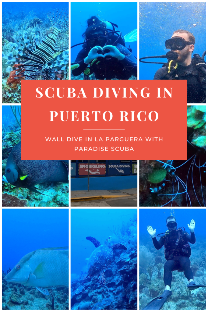 Scuba Diving La Parguera pinterest pin 2_png
