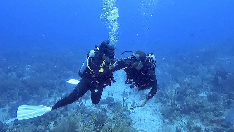 couple embracing each other during dive on honeymoon in southwest puerto rico la parguera wall