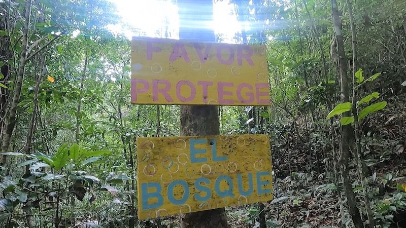 favor protege el bosque sign charco el pilon