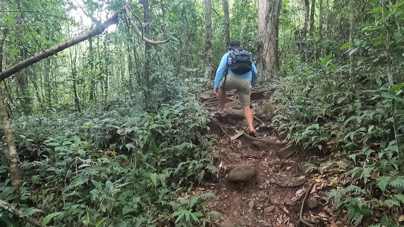 man hiking up forest trail in puerto rico charco el pilon